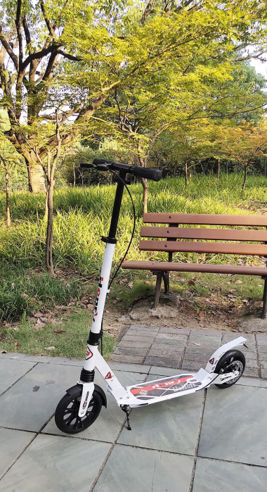 Xe scooter cho trẻ em cao cấp 040